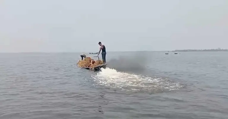 ধান লুট করে পালালো কয়েক গ্রামের মানুষ